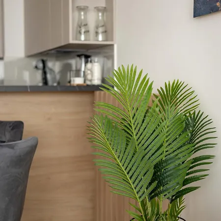 N65 Lux Apartment Βελιγράδι Εξωτερικό φωτογραφία